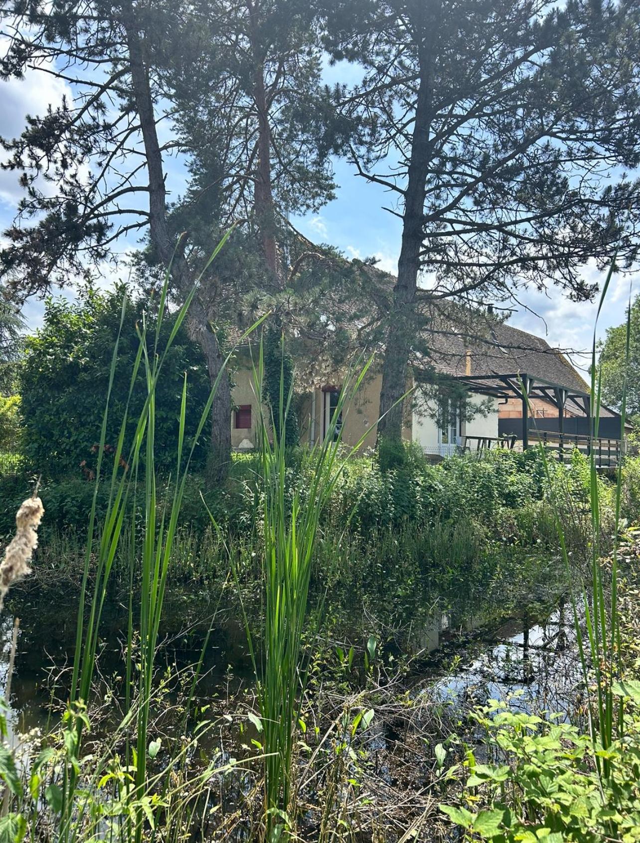 Le Gite Du Chateau Mouton Chatenoy-le-Royal Exterior foto